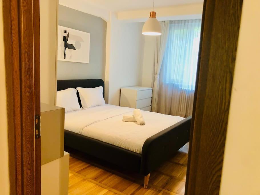 Apartment Joy Prefectura 12 Timisoara