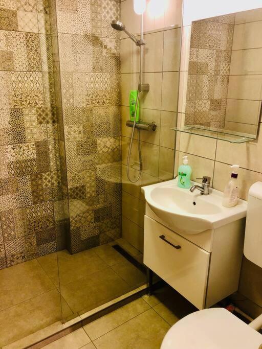Joy Prefectura 12 Apartment Timisoara
